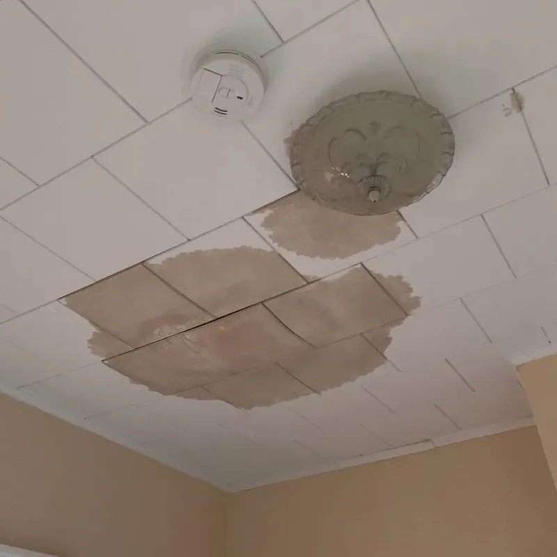 Ceiling Water Damage Repair in Putnam County, IL