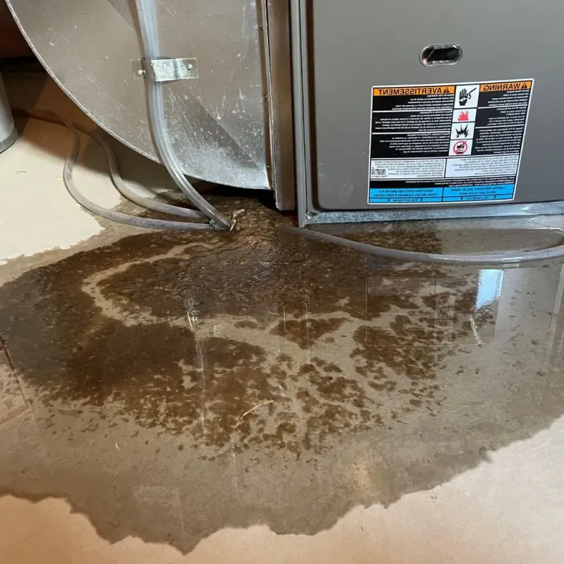 Pipe Burst and Leak Restoration in Putnam County, IL
