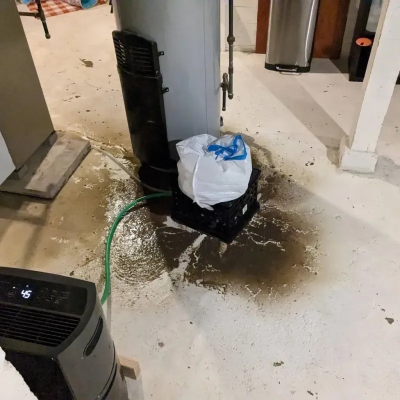 Sewage Backup Cleanup Service in Putnam County, IL